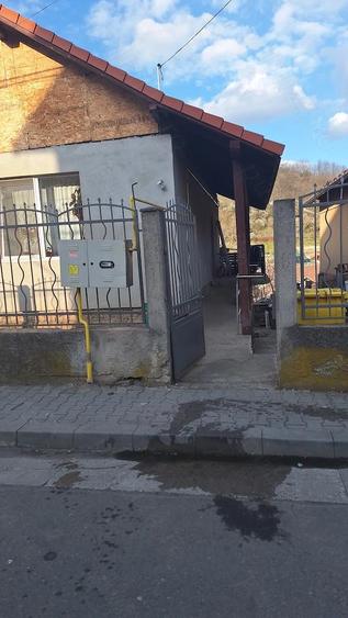 Vand casa in zona vitro detali la nr sau - 2