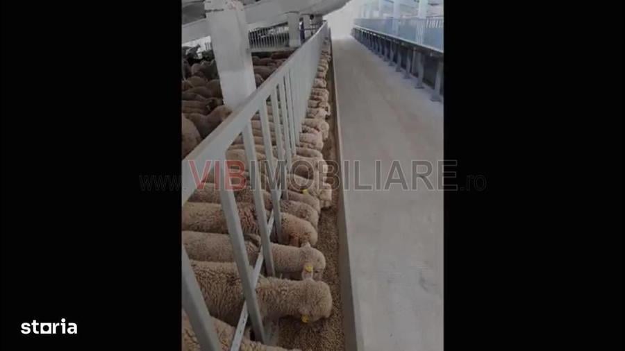 Spațiu comercial, în Central