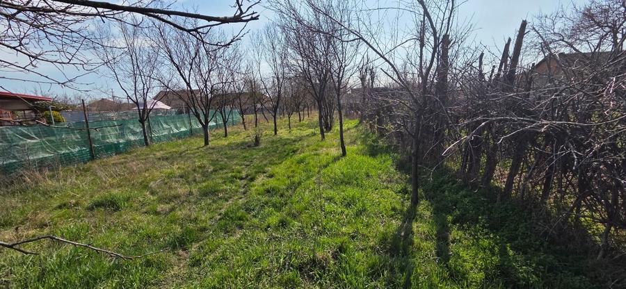 Teren intravilan de 528 mp, în Bujac