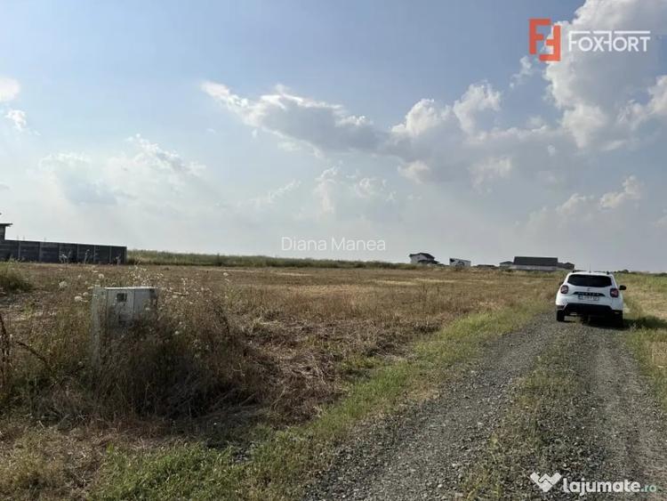 Parcele teren de vanzare in Sanandrei - ID V5451 - Sanandrei (Timis)