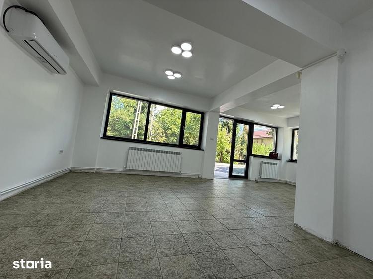Spațiu comercial, de 44 mp, în Podu Roș