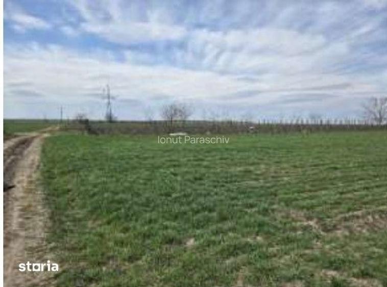 Teren extravilan Cota parte 29/64 Greaca, ID: R3030129
