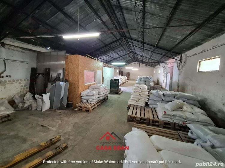 Hala in Campina--280 mp--800e - 10