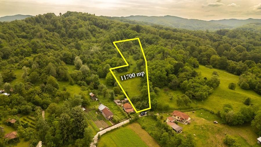 Teren 11700 mp în Valea Lungă, o oază de liniște, aer curat și verdeață - 1