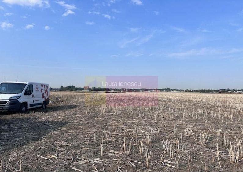 Teren Domnesti strada Ciocarliei.