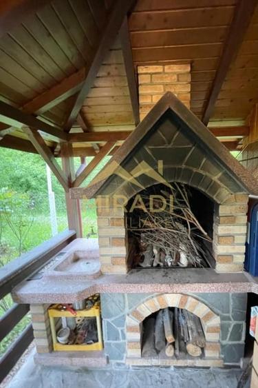 Vanzari Case / vile - 19