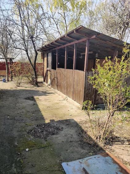 Casa Marsa Giurgiu - 5