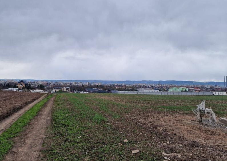 Teren 10,000mp Bacau / Strada Alexandru Safran - 15