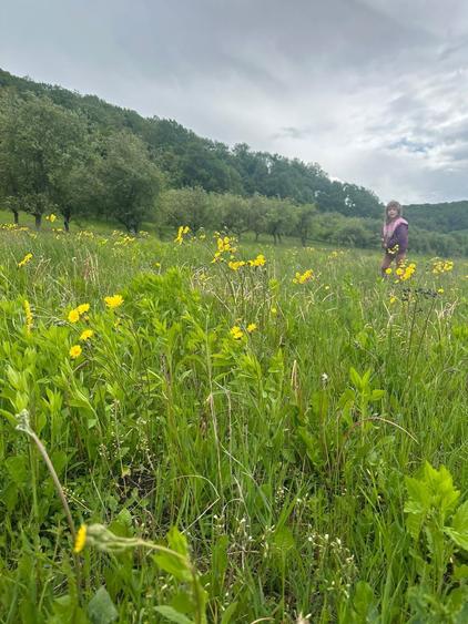 Teren de vanzare - 4