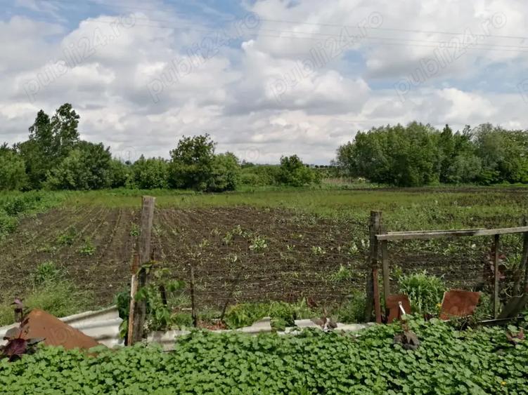 Casa batraneasca cu anexe si teren Loturi Enescu Dorohoi - 2