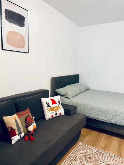 De inchiriat garsoniera | Brazda lui Novac - 5