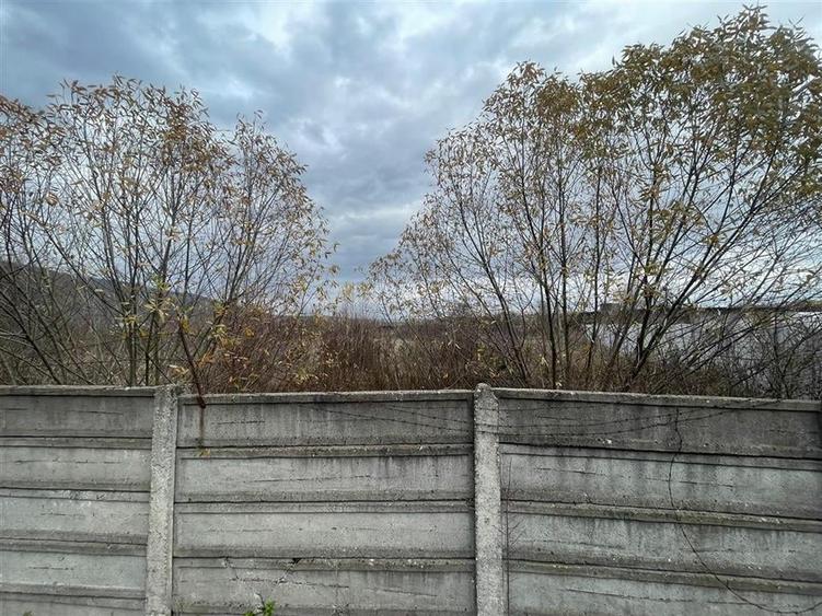 RECO vindem teren intravilan in Suncuius - 3