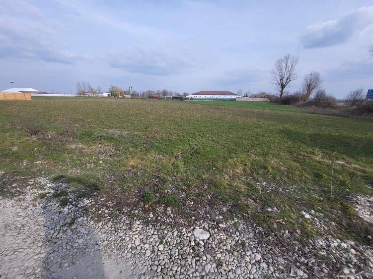 Teren Construcții intravilan de 769 mp, în Comana