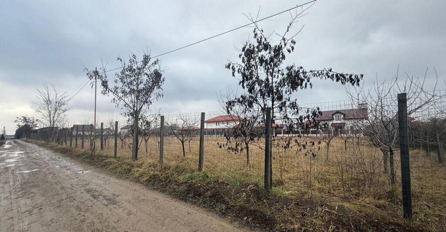 VALEA URSULUI, TEREN INTRAVILAN DE , LA MARGINE DE PADURE - 14