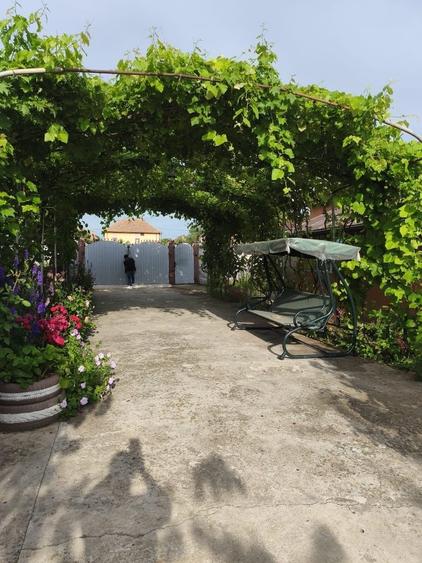 Vand sau schimb cu apartament, casa cu gradina - 6