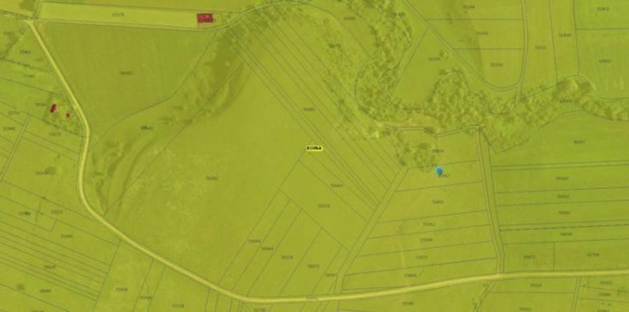 Teren extravilan ideal în comuna Borșa - Cluj - 4