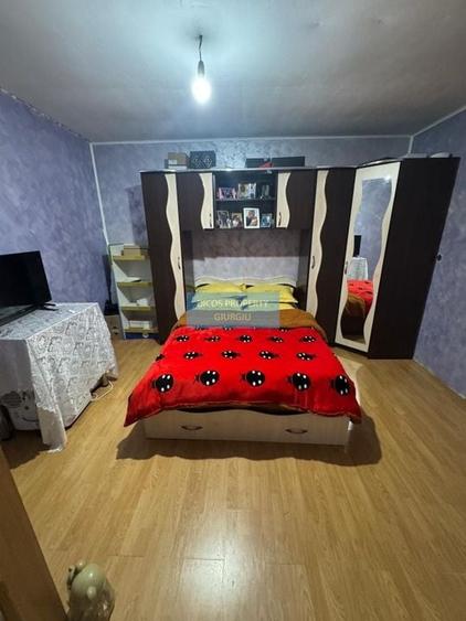 Casă P+M pe strada Tineretului - 4