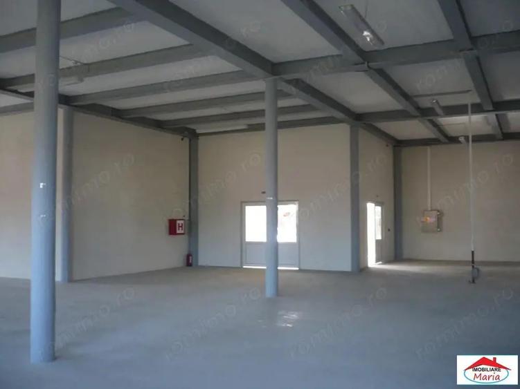 Hala de productie depozitare Satu Mare 1880 mp - 11