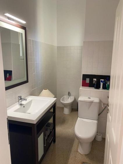 Penthouse in zona Telegrafului - 7