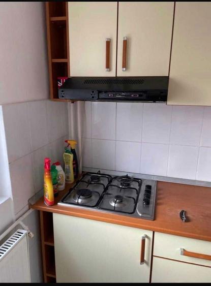 Inchiriez Garsoniera Favorit, Drumul taberei - 2