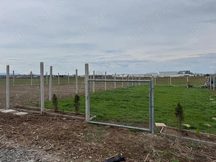 gradini de inchiriat - 2