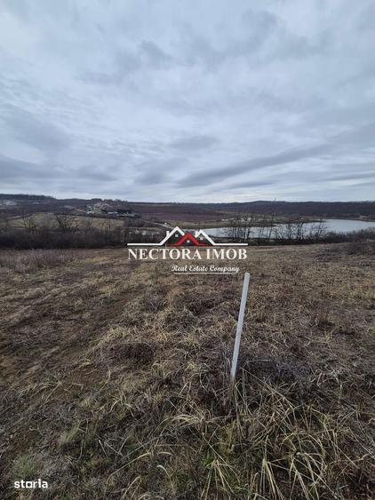NECTORA IMOB-Teren Intravilan Zona Paleu, 589 mp, Vedere LAC,Utilitati - 4