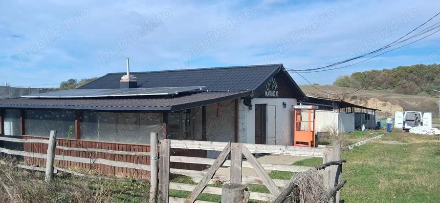 Ferma de vanzare , zona Dambu - 8