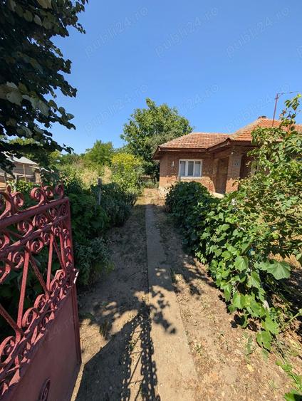 Casa de vanzare (curte 1900mp) Dragoe?ti, jud. Ialomi?a (40-50 km de Bucure?ti) - 5