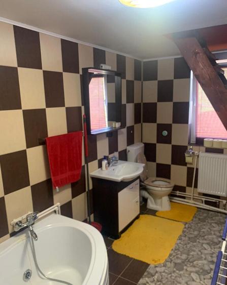 Vand doua case in aceeasi curte, in sat Dudesti, com. Luncoiu de Jos, - 11