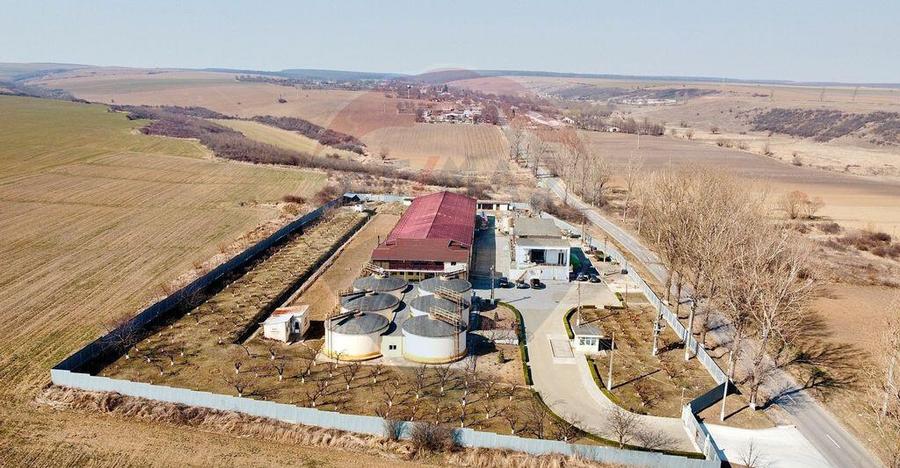 Crama din Buciumeni Afacere la cheie - 3