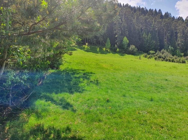 TEREN DE VANZARE INTRAVILAN - 1