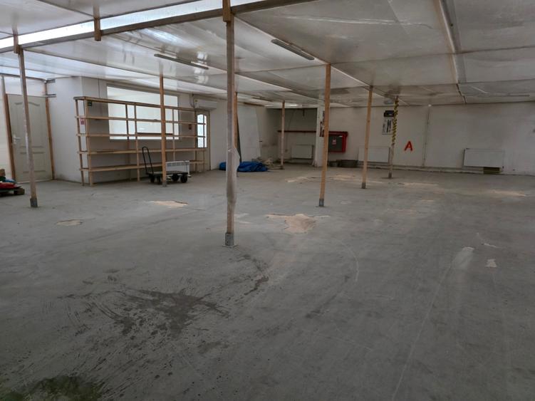 Hala Bartolomeu Brintex - 10