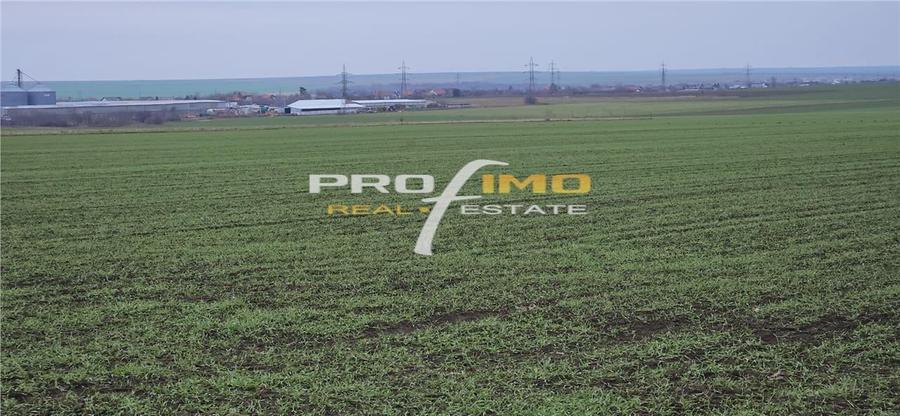 Plaja Corbu-Teren 4200mp. la numai 8 euro /mp. Soseaua asfaltata - 10