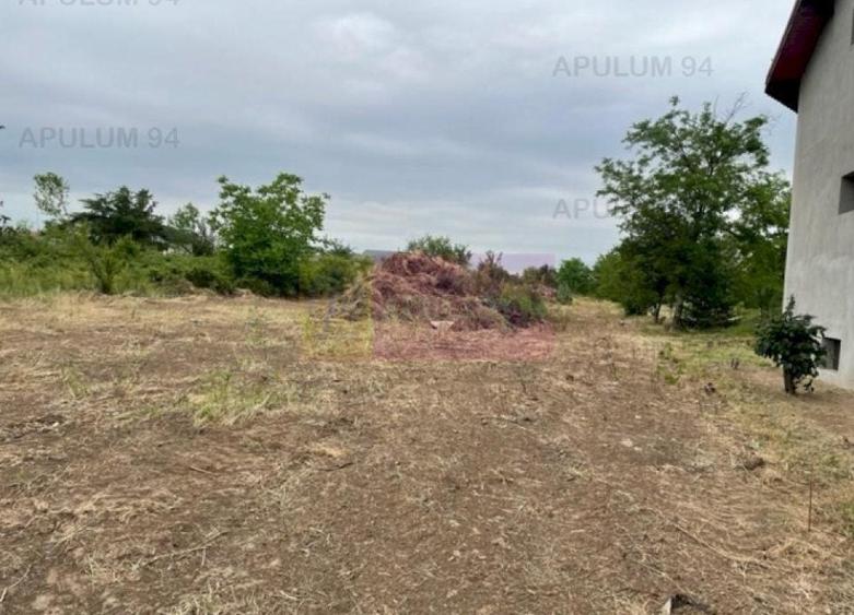 Teren Domnesti- Mega Image. - 3