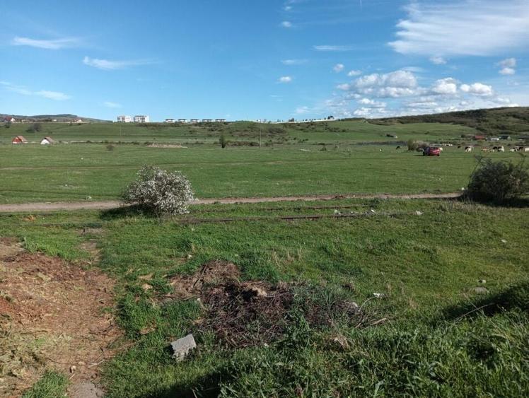 Vand teren intravilan 3000 mp in Sebes, jud Alba - 2