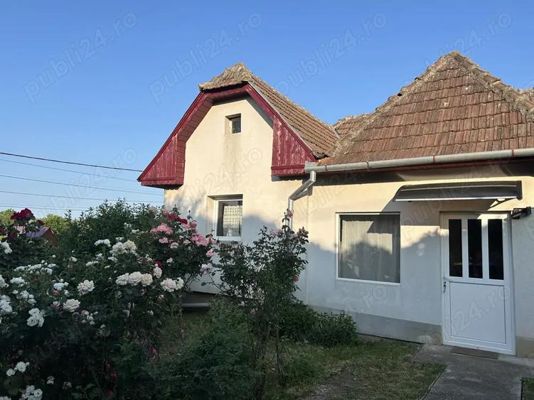 Casa de vanzare in Viisoara - 3