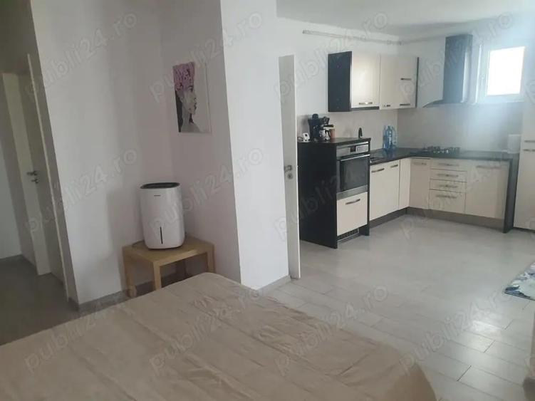 Vind studio Sinpetru - 3