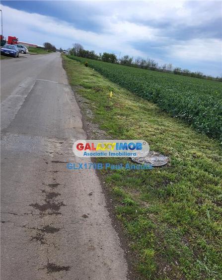 Teren Moara Vlasiei 65000 mp Industrial utilitati apropiere - 4