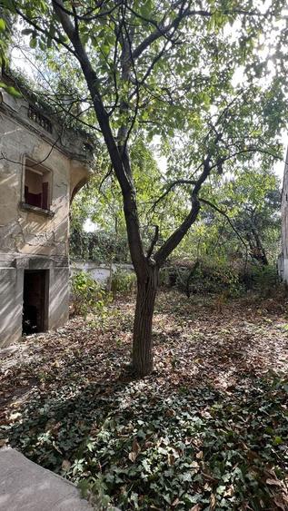 VILA INDIVIDUALA CISMIGIU | INTR. TEMISANA - 7