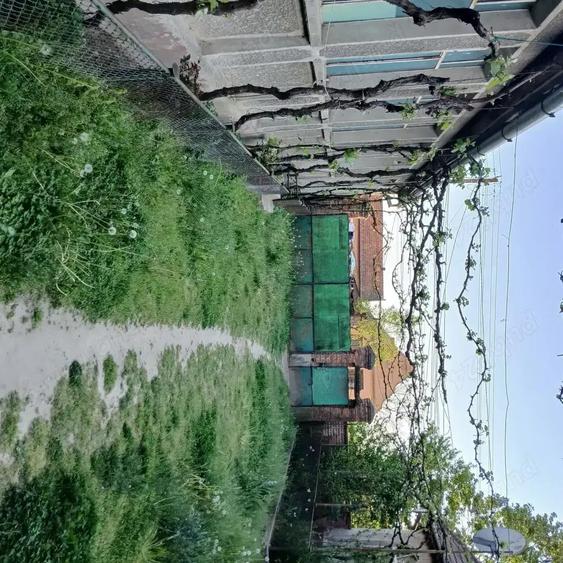 Casa si gradina de vanzare in Hitias la strada principala - 7