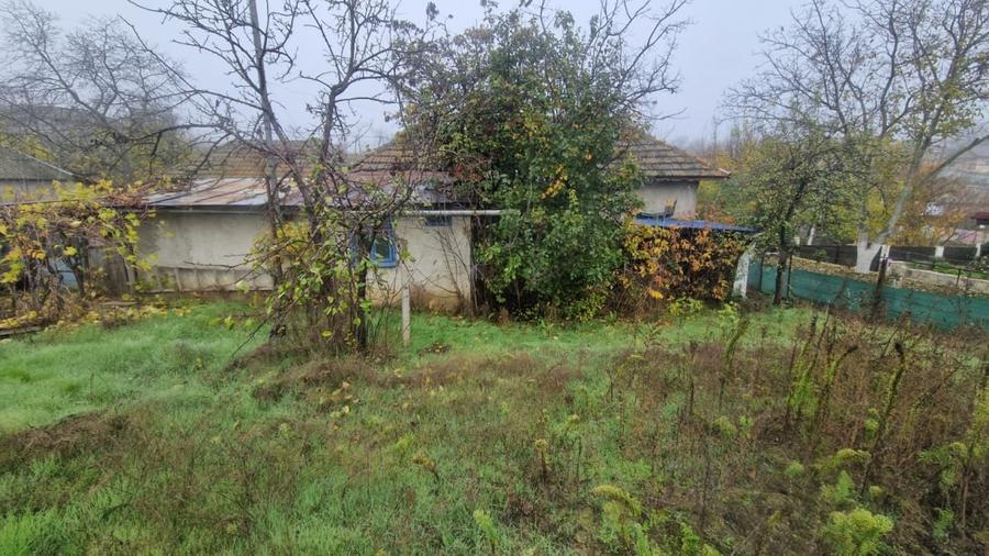 MINERI - CASA 4 CAMERE SUPRAFATA 97 MP, TEREN 3300 MP - 12