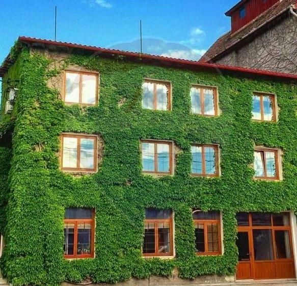 Cladire de  birouri deosebita ,zona  centrala, de vanzare - 2