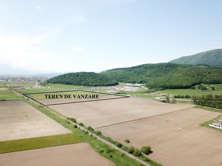 Teren la DN 1 Codlea ideal comercial - 6