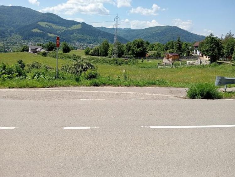 Pământ de vânzare: sat Viișoara, comuna Alexandru cel Bun (zona Gloduri drumul spre Bisericani) - 2