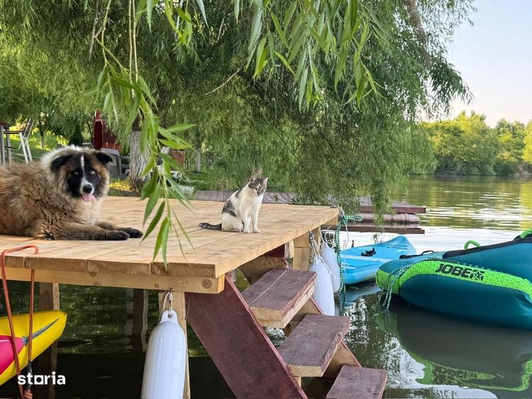 Pensiune cu balta de 30 ha in proprietate aproape de Bucuresti - 8