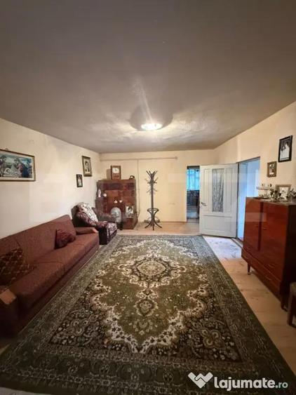 Proprietate completa in Sacuieni- Doua Case + Anexe - 9