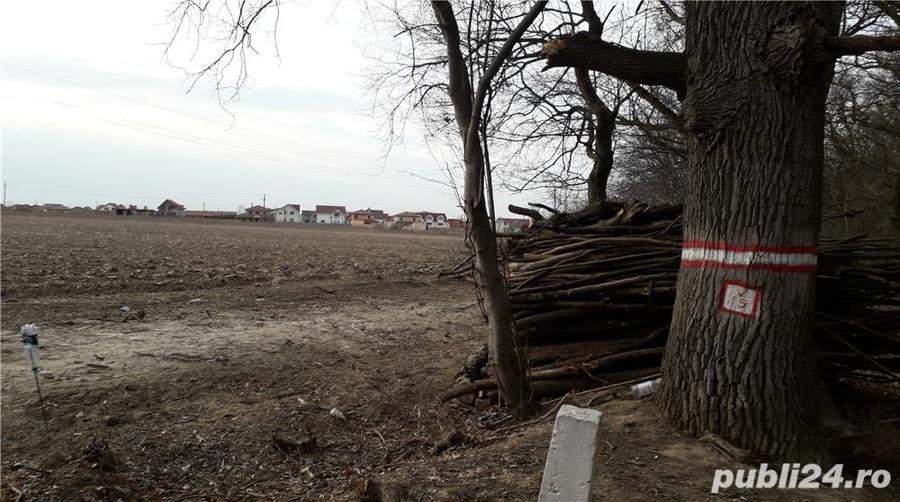 Teren de 1000 mp, în Băile Felix