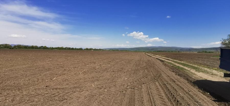 TEREN AGRICOL DE VANZARE - BOD - BRASOV 4,5 HA - 4