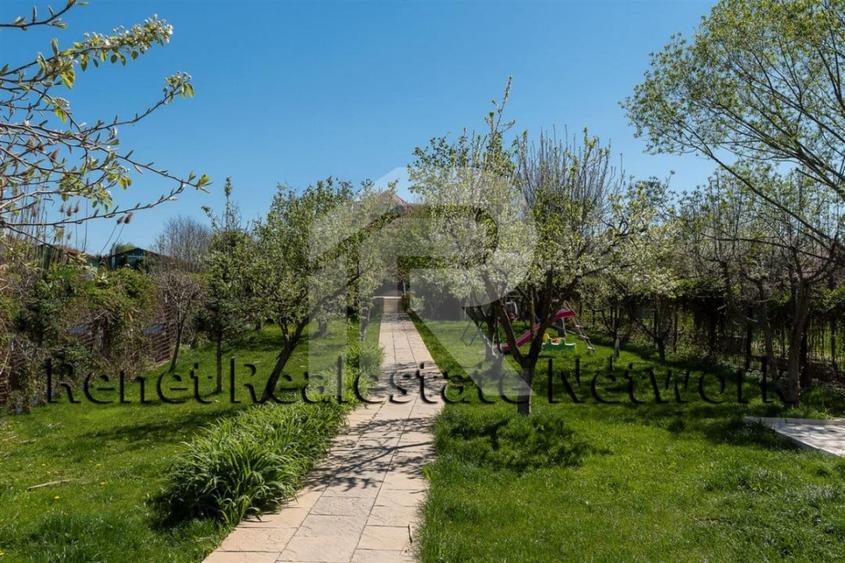 O Poveste de Vis pe Malul Lacului Snagov - 47