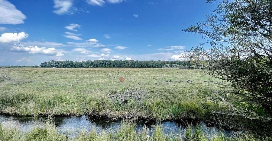 Teren Extravilan - 9